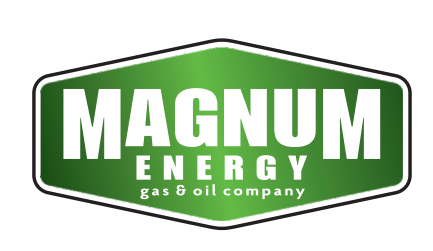 Бензин А-95, АЗС MAGNUM ENERGY, талон